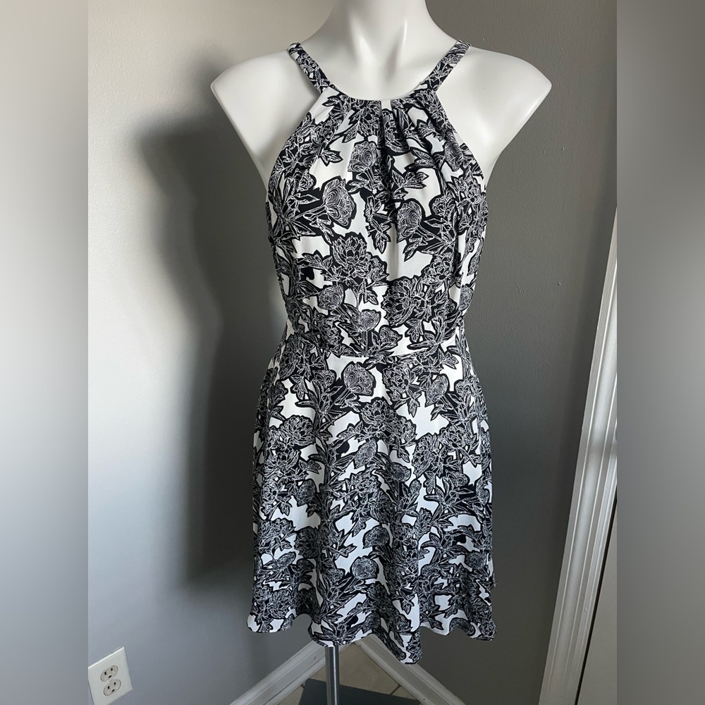 Express Halter Flare Dress
